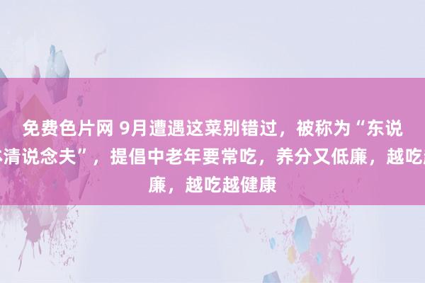 免费色片网 9月遭遇这菜别错过，被称为“东说念主体清说念夫”，提倡中老年要常吃，养分又低廉，越吃越健康