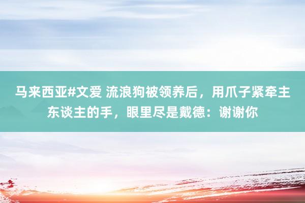 马来西亚#文爱 流浪狗被领养后，用爪子紧牵主东谈主的手，眼里尽是戴德：谢谢你