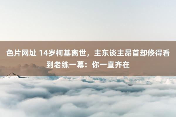 色片网址 14岁柯基离世，主东谈主昂首却倏得看到老练一幕：你一直齐在