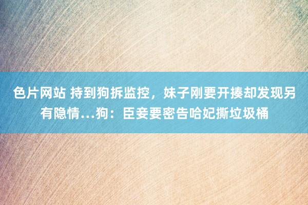 色片网站 持到狗拆监控，妹子刚要开揍却发现另有隐情…狗：臣妾要密告哈妃撕垃圾桶