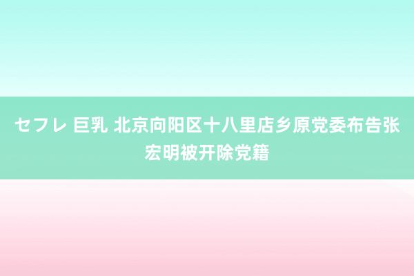 セフレ 巨乳 北京向阳区十八里店乡原党委布告张宏明被开除党籍