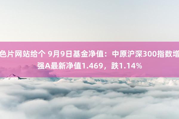 色片网站给个 9月9日基金净值：中原沪深300指数增强A最新净值1.469，跌1.14%