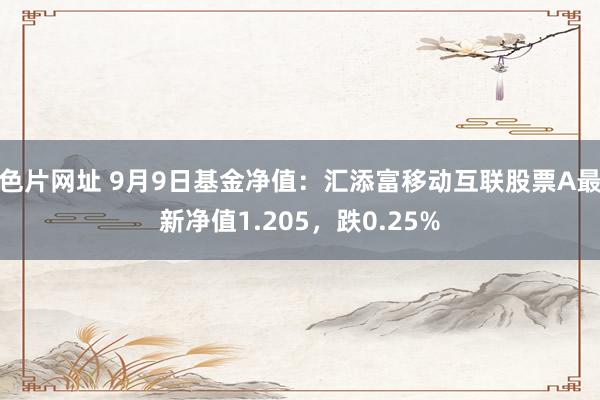 色片网址 9月9日基金净值：汇添富移动互联股票A最新净值1.205，跌0.25%