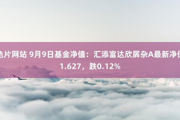 色片网站 9月9日基金净值：汇添富达欣羼杂A最新净值1.627，跌0.12%