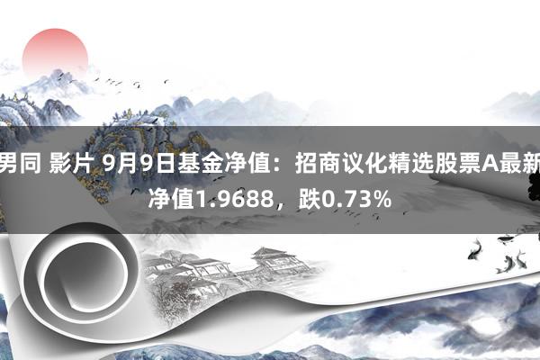 男同 影片 9月9日基金净值：招商议化精选股票A最新净值1.9688，跌0.73%