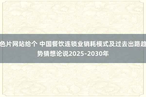 色片网站给个 中国餐饮连锁业销耗模式及过去出路趋势猜想论说2025-2030年