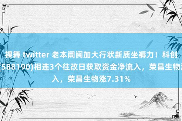 裸舞 twitter 老本阛阓加大行状新质坐褥力！科创100ETF(588190)相连3个往改日获取资金净流入，荣昌生物涨7.31%