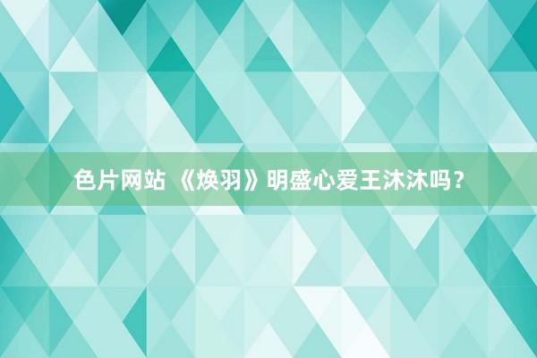 色片网站 《焕羽》明盛心爱王沐沐吗？