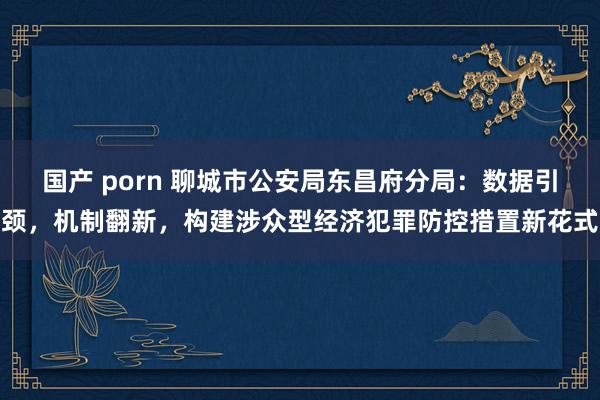 国产 porn 聊城市公安局东昌府分局：数据引颈，机制翻新，构建涉众型经济犯罪防控措置新花式