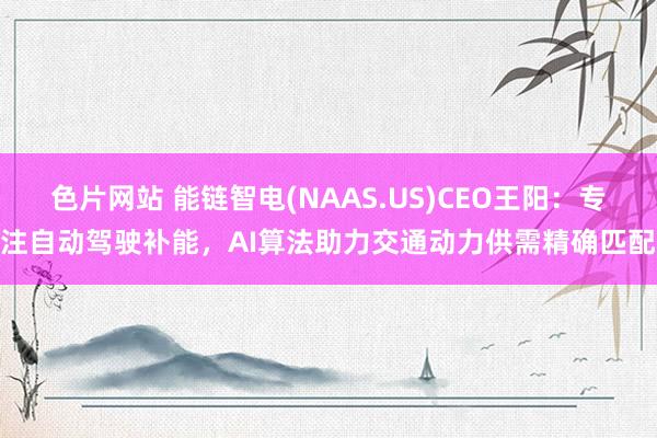 色片网站 能链智电(NAAS.US)CEO王阳：专注自动驾驶补能，AI算法助力交通动力供需精确匹配