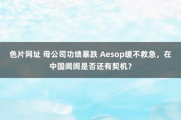 色片网址 母公司功绩暴跌 Aesop缓不救急，在中国阛阓是否还有契机？