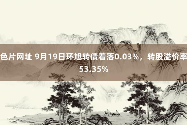 色片网址 9月19日环旭转债着落0.03%，转股溢价率53.35%