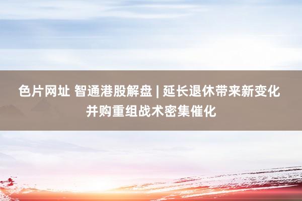 色片网址 智通港股解盘 | 延长退休带来新变化 并购重组战术密集催化