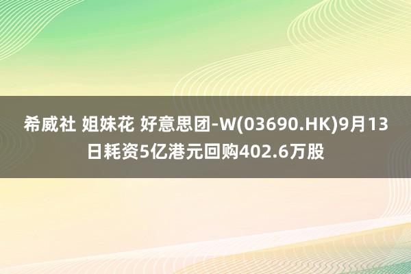 希威社 姐妹花 好意思团-W(03690.HK)9月13日耗资5亿港元回购402.6万股