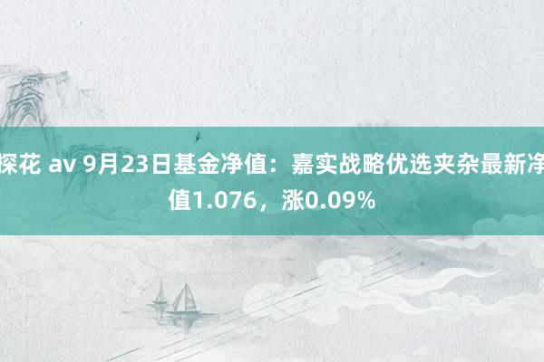 探花 av 9月23日基金净值：嘉实战略优选夹杂最新净值1.076，涨0.09%