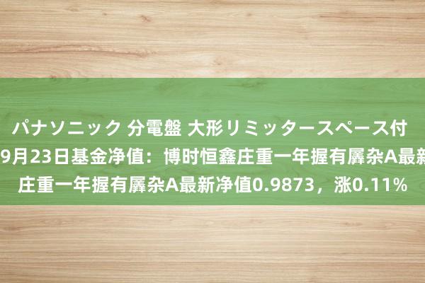 パナソニック 分電盤 大形リミッタースペース付 露出・半埋込両用形 9月23日基金净值：博时恒鑫庄重一年握有羼杂A最新净值0.9873，涨0.11%