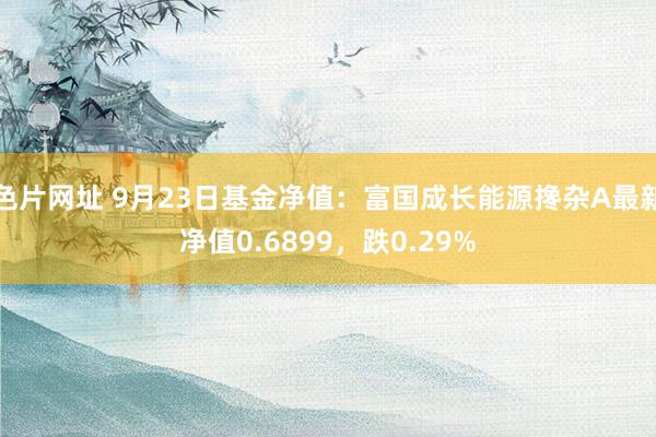 色片网址 9月23日基金净值：富国成长能源搀杂A最新净值0.6899，跌0.29%