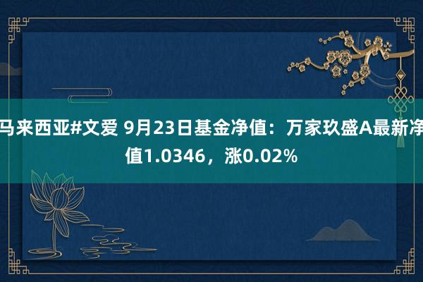 马来西亚#文爱 9月23日基金净值：万家玖盛A最新净值1.0346，涨0.02%