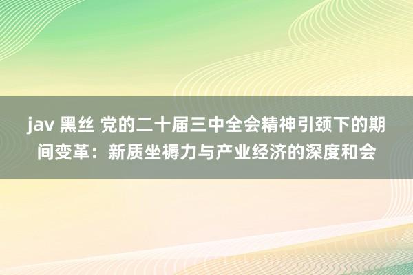 jav 黑丝 党的二十届三中全会精神引颈下的期间变革：新质坐褥力与产业经济的深度和会