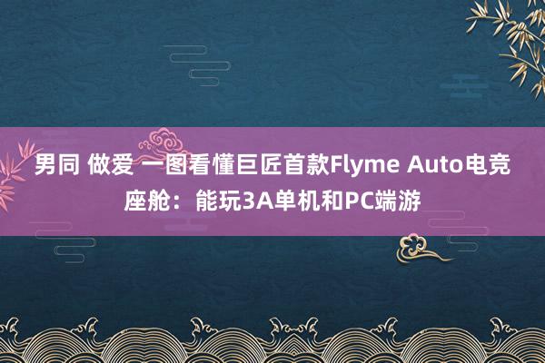 男同 做爱 一图看懂巨匠首款Flyme Auto电竞座舱：能玩3A单机和PC端游