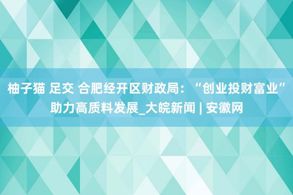 柚子猫 足交 合肥经开区财政局：“创业投财富业”助力高质料发展_大皖新闻 | 安徽网