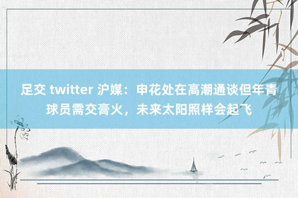 足交 twitter 沪媒：申花处在高潮通谈但年青球员需交膏火，未来太阳照样会起飞