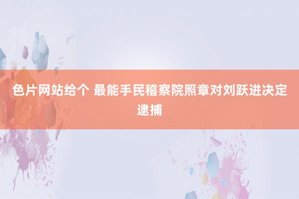 色片网站给个 最能手民稽察院照章对刘跃进决定逮捕