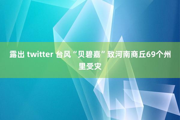 露出 twitter 台风“贝碧嘉”致河南商丘69个州里受灾