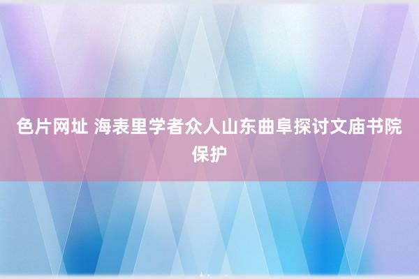 色片网址 海表里学者众人山东曲阜探讨文庙书院保护