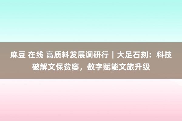 麻豆 在线 高质料发展调研行｜大足石刻：科技破解文保贫窭，数字赋能文旅升级