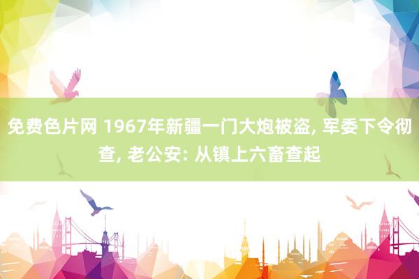 免费色片网 1967年新疆一门大炮被盗， 军委下令彻查， 老公安: 从镇上六畜查起