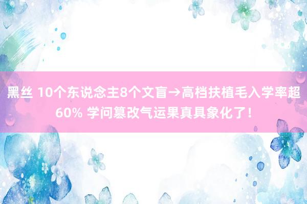 黑丝 10个东说念主8个文盲→高档扶植毛入学率超60% 学问篡改气运果真具象化了！