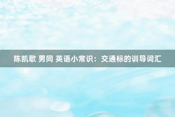 陈凯歌 男同 英语小常识：交通标的训导词汇