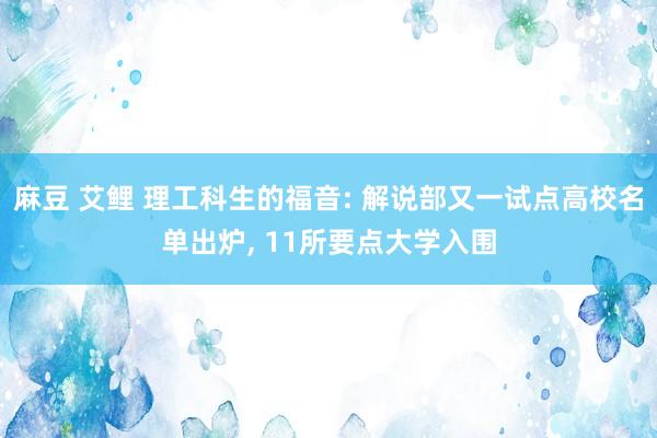 麻豆 艾鲤 理工科生的福音: 解说部又一试点高校名单出炉, 11所要点大学入围