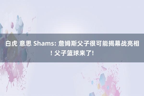 白虎 意思 Shams: 詹姆斯父子很可能揭幕战亮相! 父子篮球来了!