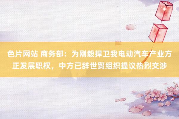 色片网站 商务部：为刚毅捍卫我电动汽车产业方正发展职权，中方已辞世贸组织提议热烈交涉