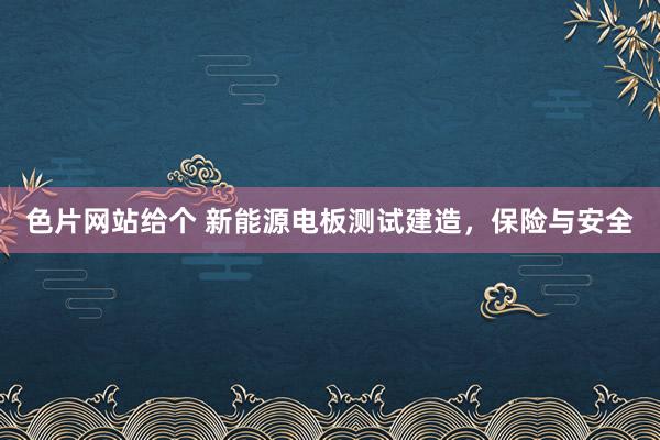 色片网站给个 新能源电板测试建造，保险与安全