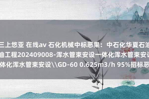 三上悠亚 在线av 石化机械中标恶果：中石化华夏石油工程有限公司华夏石油工程202409008-浑水管束安设一体化浑水管束安设\GD-60 0.625m3/h 95%招标恶果公告