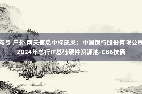 勾引 户外 南天信息中标成果：中国银行股份有限公司2024年总行IT基础硬件资源池-C86技俩