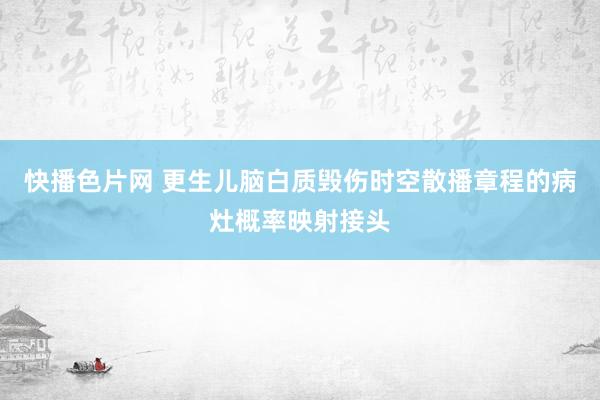 快播色片网 更生儿脑白质毁伤时空散播章程的病灶概率映射接头