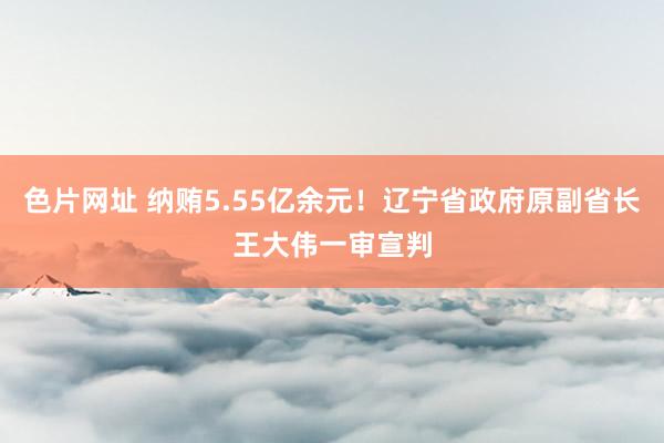 色片网址 纳贿5.55亿余元！辽宁省政府原副省长王大伟一审宣判