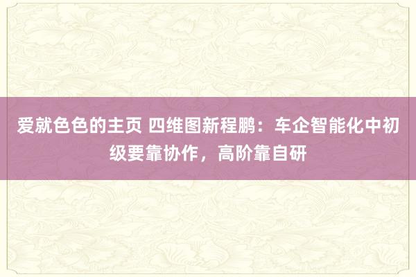 爱就色色的主页 四维图新程鹏：车企智能化中初级要靠协作，高阶靠自研