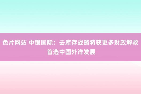 色片网站 中银国际：去库存战略将获更多财政解救 首选中国外洋发展