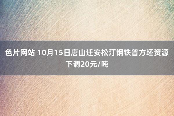 色片网站 10月15日唐山迁安松汀钢铁普方坯资源下调20元/吨