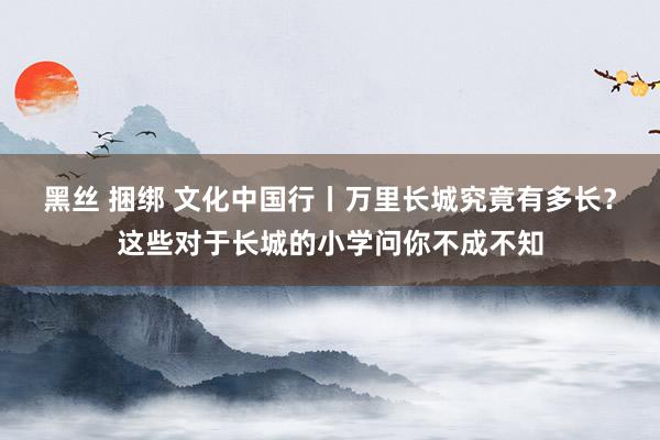 黑丝 捆绑 文化中国行丨万里长城究竟有多长？这些对于长城的小学问你不成不知