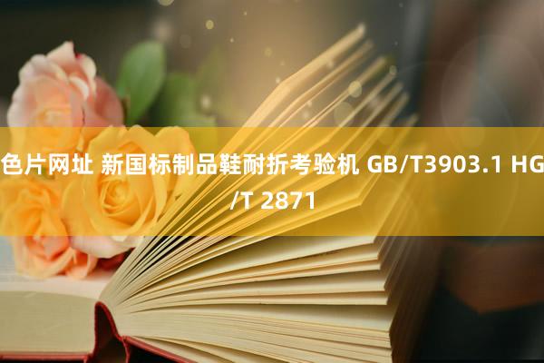 色片网址 新国标制品鞋耐折考验机 GB/T3903.1 HG/T 2871