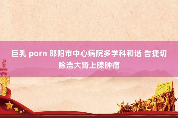 巨乳 porn 邵阳市中心病院多学科和谐 告捷切除浩大肾上腺肿瘤