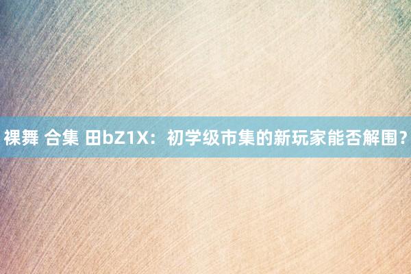 裸舞 合集 田bZ1X：初学级市集的新玩家能否解围？