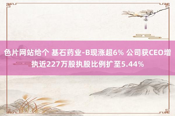 色片网站给个 基石药业-B现涨超6% 公司获CEO增执近227万股执股比例扩至5.44%