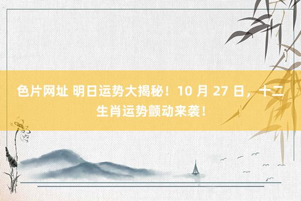 色片网址 明日运势大揭秘！10 月 27 日，十二生肖运势颤动来袭！